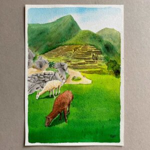 Original Llamas en Machu Picchu